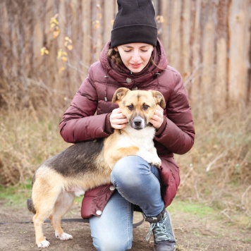 Собаки в добрые руки - Перчик