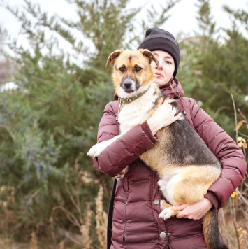 Собаки в добрые руки - Перчик - 1