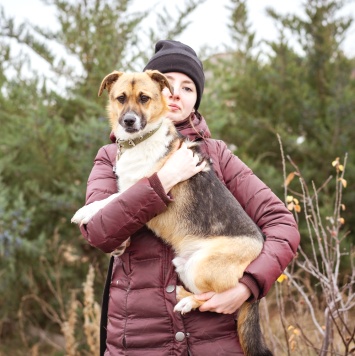 Собаки в добрые руки - Перчик - 4