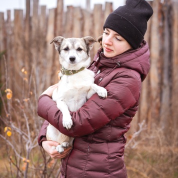 Собаки в добрые руки - Кукла