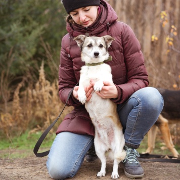 Собаки в добрые руки - Кукла - 1