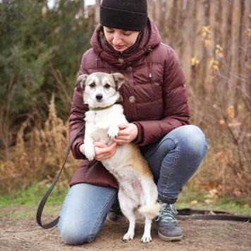 Собаки в добрые руки - Кукла