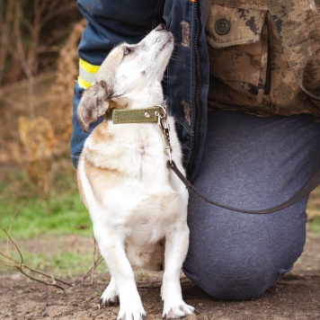 Собаки в добрые руки - Кукла - 2