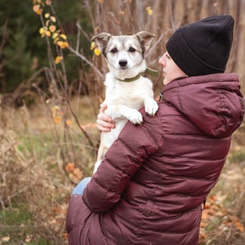 Собаки в добрые руки - Кукла - 4