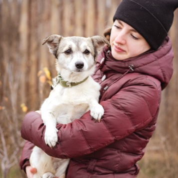 Собаки в добрые руки - Кукла - 1