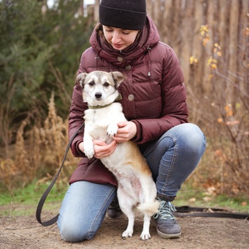 Собаки в добрые руки - Кукла - 3