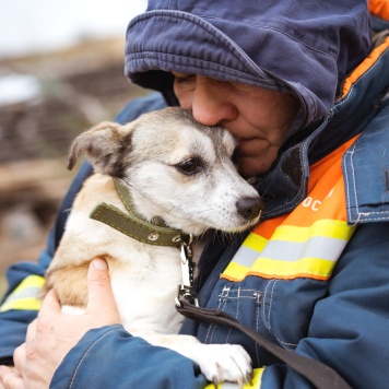 Собаки в добрые руки - Кукла - 4