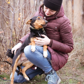 Собаки в добрые руки - Якут - 1