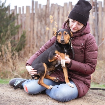 Собаки в добрые руки - Якут - 4