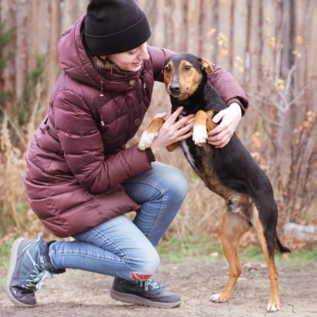 Собаки в добрые руки - Якут - 1