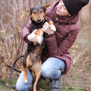 Собаки в добрые руки - Якут - 4