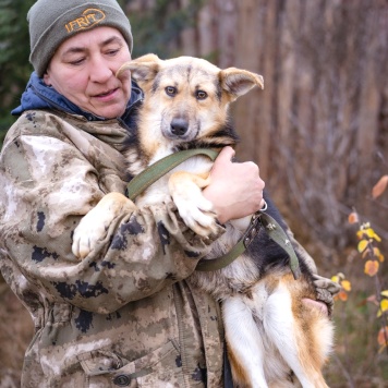 Собаки в добрые руки - Жорик - 1