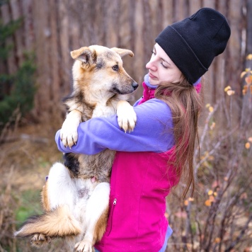 Собаки в добрые руки - Жорик - 2