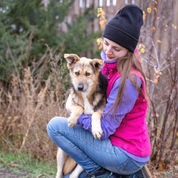 Собаки в добрые руки - Жорик - 3