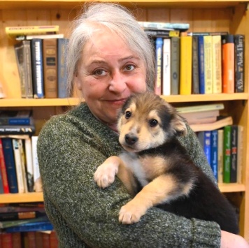 Ринго - Собаки в добрые руки