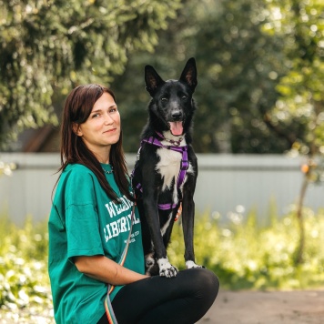 Собаки в добрые руки - Микки - 2