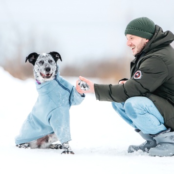 Собаки в добрые руки - Рэми - 2
