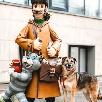 Собаки в добрые руки - Броша - 3