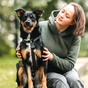 Собаки в добрые руки - Дей - 2