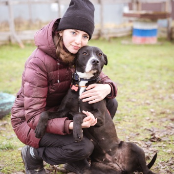 Собаки в добрые руки - Гера - 2