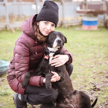 Собаки в добрые руки - Гера - 4