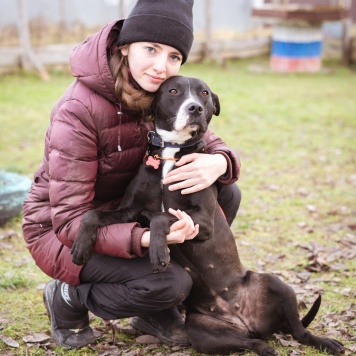 Собаки в добрые руки - Гера