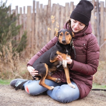 Собаки в добрые руки - Якут - 2