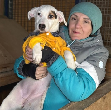 Собаки в добрые руки - Болек - 2