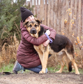 Собаки в добрые руки - Добрыня - 4