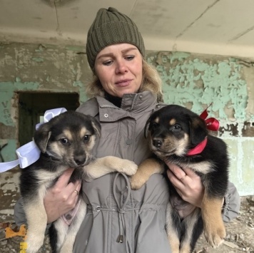 Собаки в добрые руки - Барни - 3