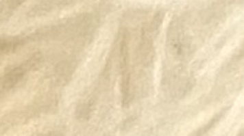 Собаки в добрые руки - Бэля - 1