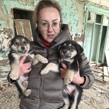 Собаки в добрые руки - Фиби - 2