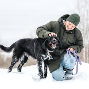 Собаки в добрые руки - Честер - 3