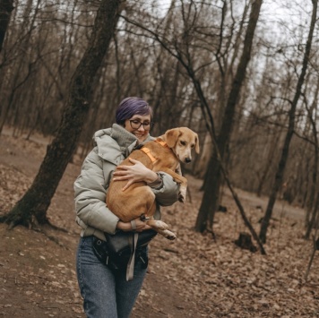 Собаки в добрые руки - Глори - 3