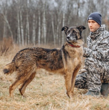 Собаки в добрые руки - Данлар - 2