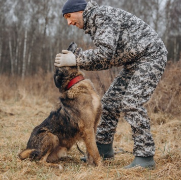 Собаки в добрые руки - Данлар - 3
