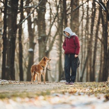 Собаки в добрые руки - Яша - 3