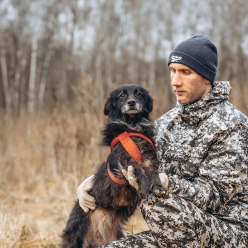 Собаки в добрые руки - Элли - 1