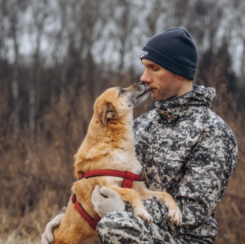 Собаки в добрые руки - Стич - 4