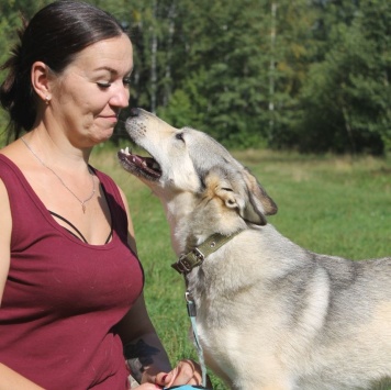 Собаки в добрые руки - Лана - 1