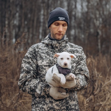 Собаки в добрые руки - Крош - 2