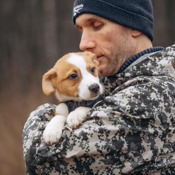 Собаки в добрые руки - Малыш - 1