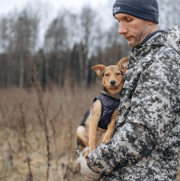 Собаки в добрые руки - Булка - 2