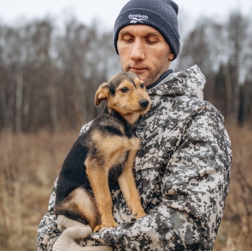 Собаки в добрые руки - Кроха