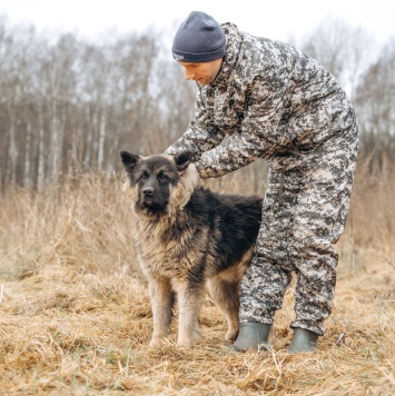 Собаки в добрые руки - Шарик - 2