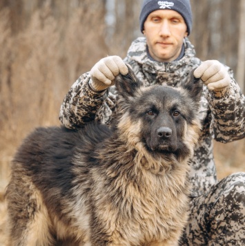 Собаки в добрые руки - Шарик - 3
