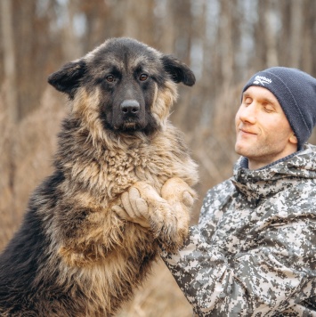 Собаки в добрые руки - Шарик - 4