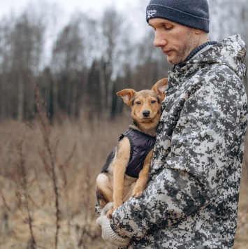 Собаки в добрые руки - Булка - 3