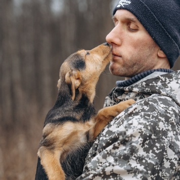 Собаки в добрые руки - Кроха - 2