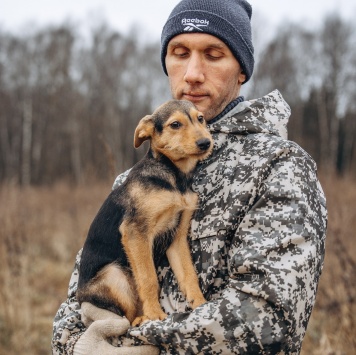 Собаки в добрые руки - Кроха - 4